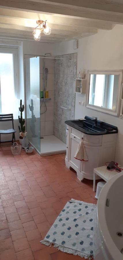 Les Campanules - Neuvy En Sullias Apartment Ngoại thất bức ảnh